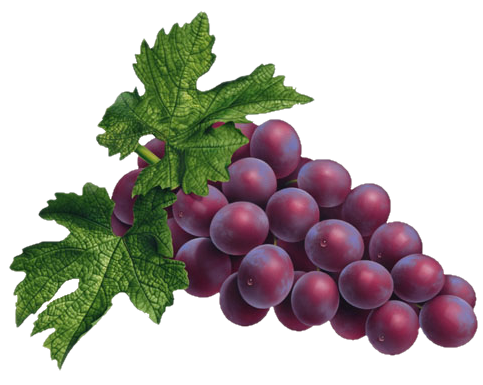 RedGrapes